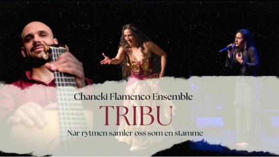 Blårollinger: Chaneki Flamenco Ensemble // TRIBU