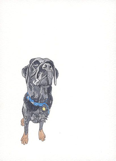 Drawing of a black labrador dog who is sitting down with muddy paws, his eyes closed and wearing a blue collar