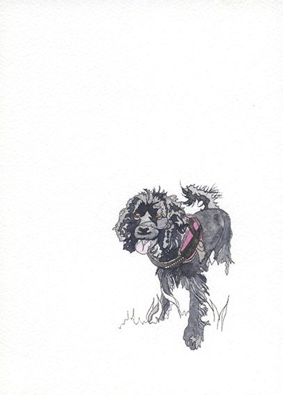 Drawing of a Black Spaniel dog standing in grass, facing forward with her tongue hanging out