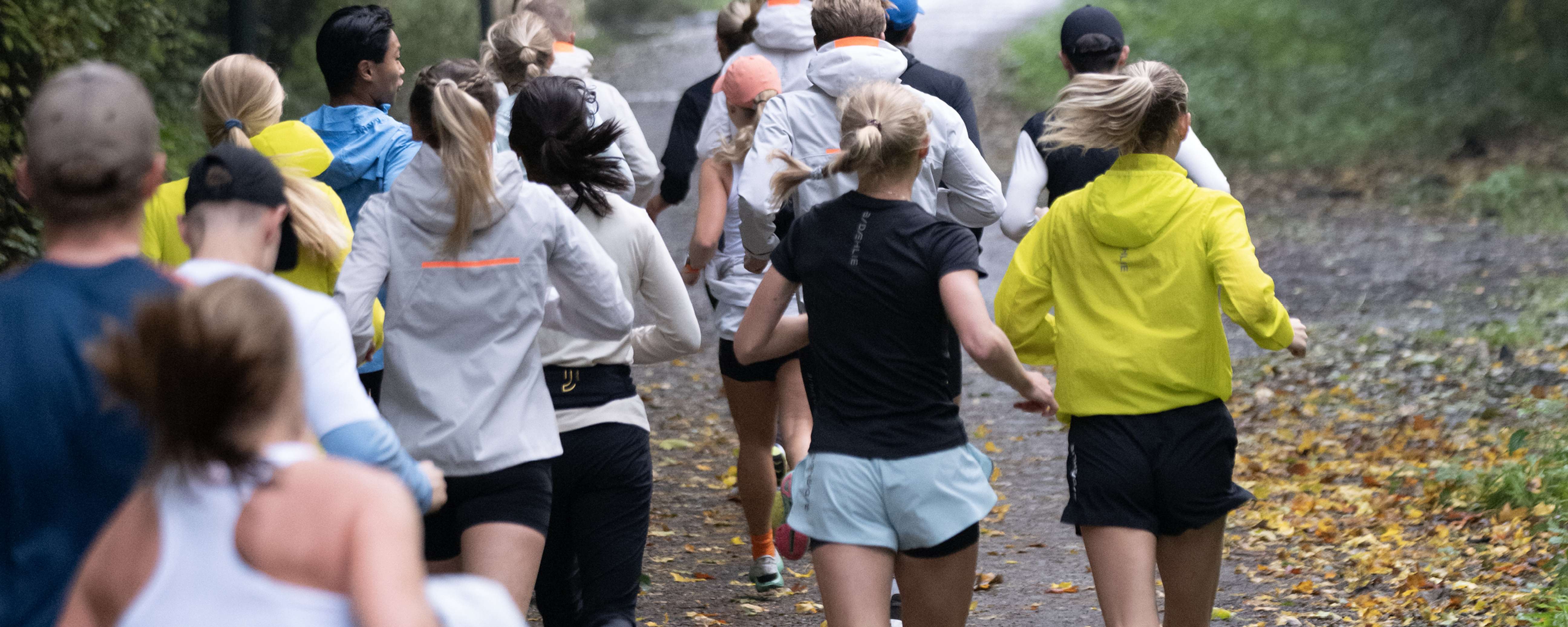 Missing alt Missing alt