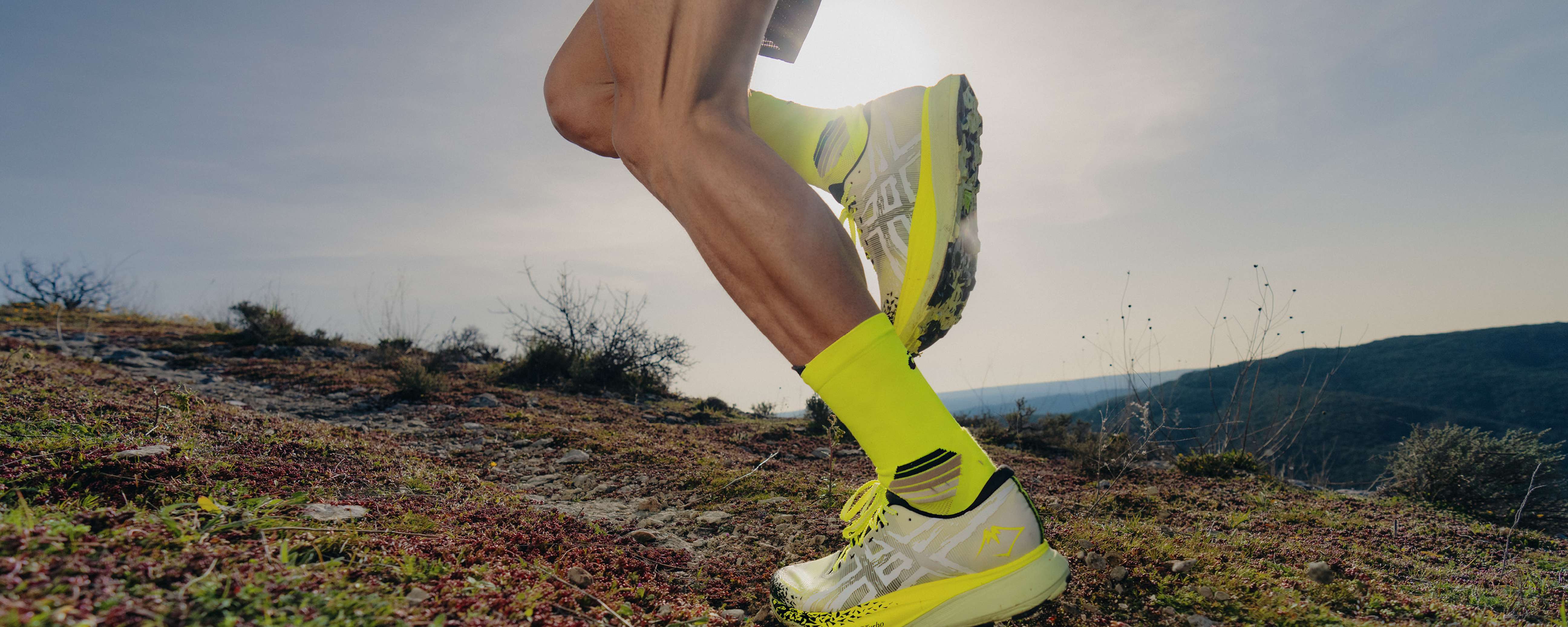 Missing alt Missing alt