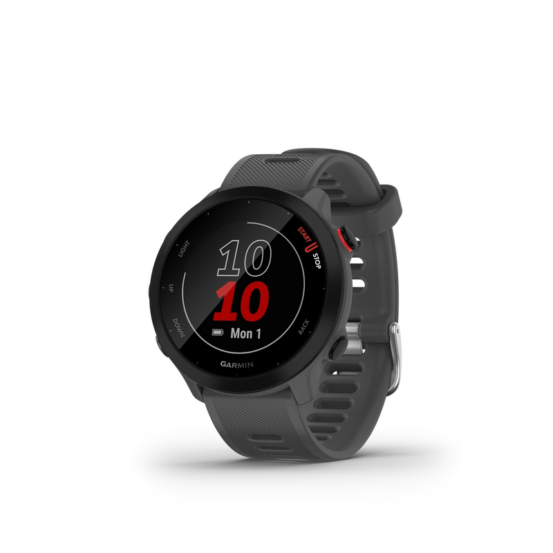 Garmin Forerunner 55 Monterra grey