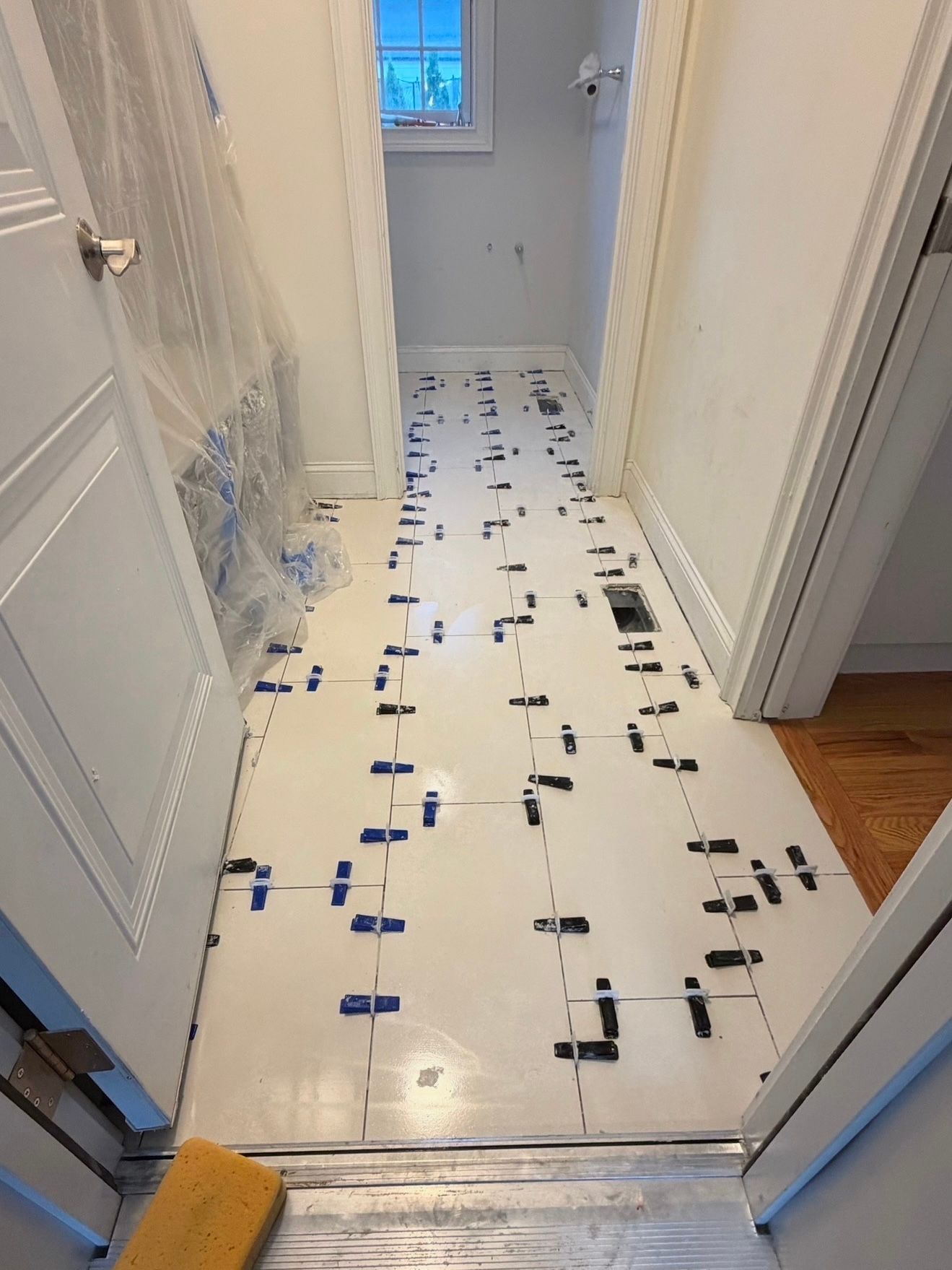 Whalepond — photo 13