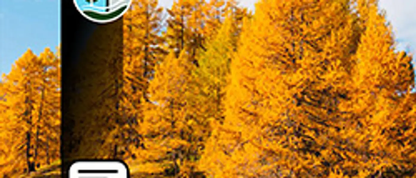 IMPACT CHECK – Baum-Pflanzaktion auf Rügen