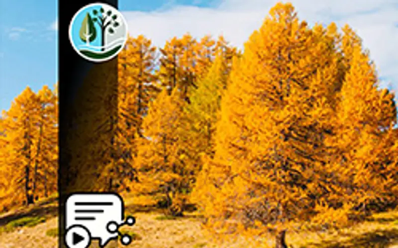 IMPACT CHECK – Baum-Pflanzaktion auf Rügen