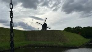 Grünes! Impressionen — Bild 8