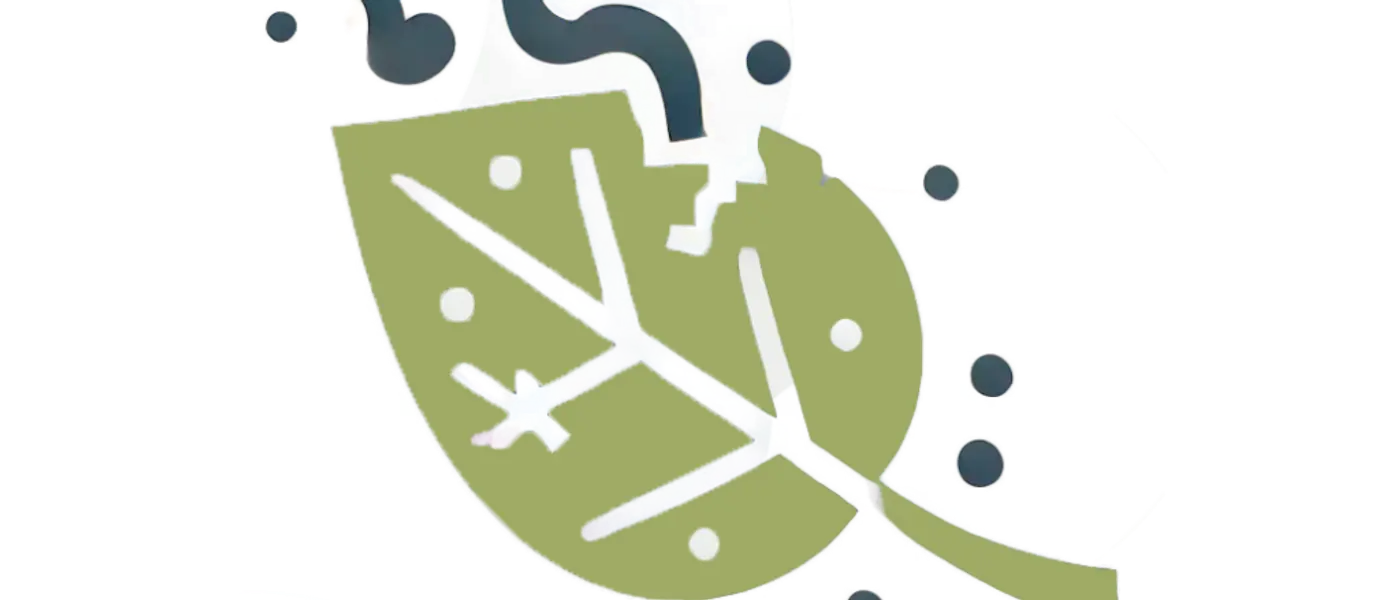 Wenn der Bewahrer zerstört wird