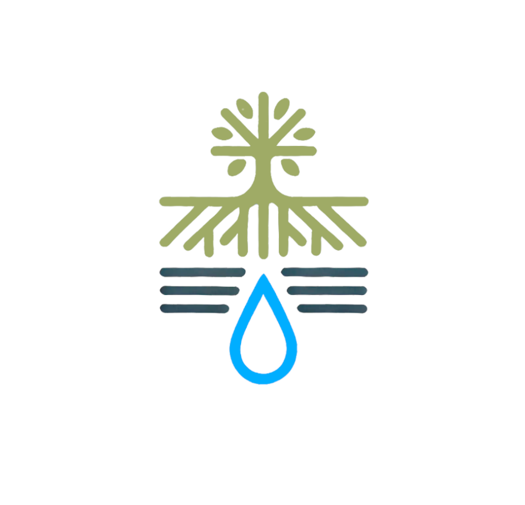 Wälder – Bollwerke gegen Wasserschäden