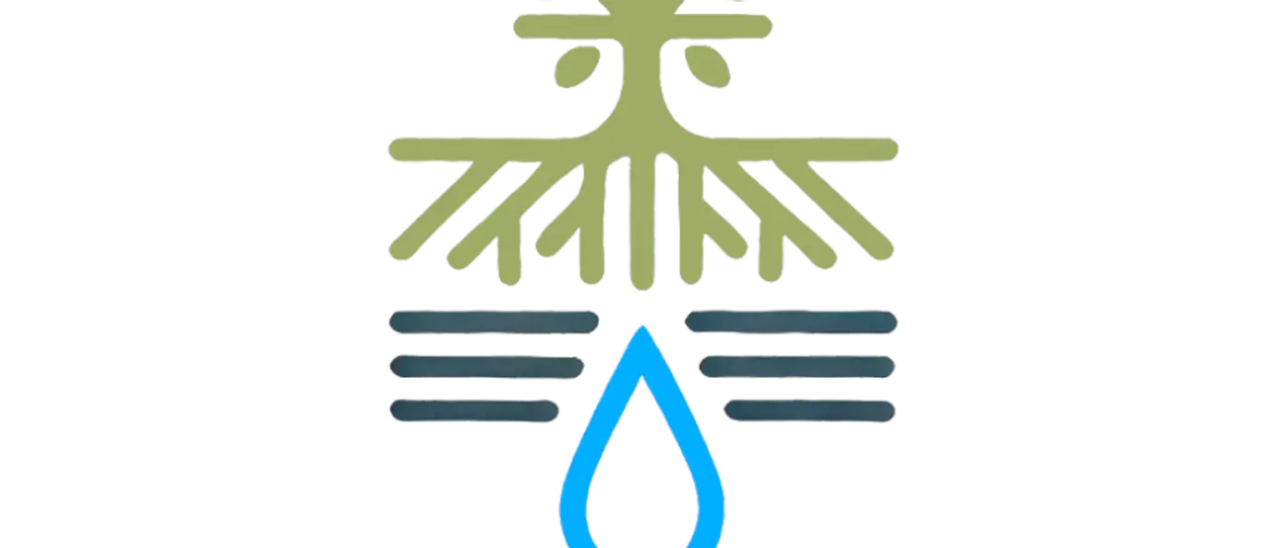 Wälder – Bollwerke gegen Wasserschäden