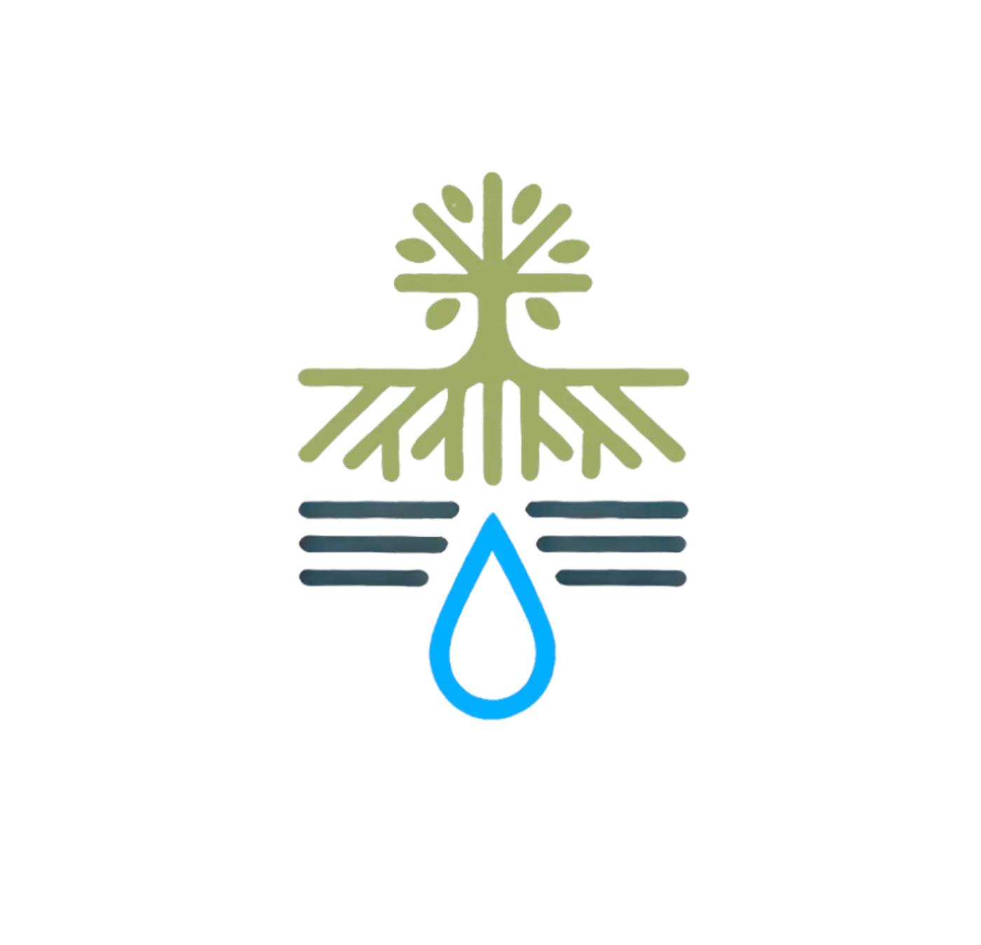 Wälder – Bollwerke gegen Wasserschäden
