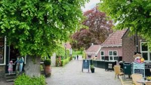 Grünes! Impressionen — Bild 5