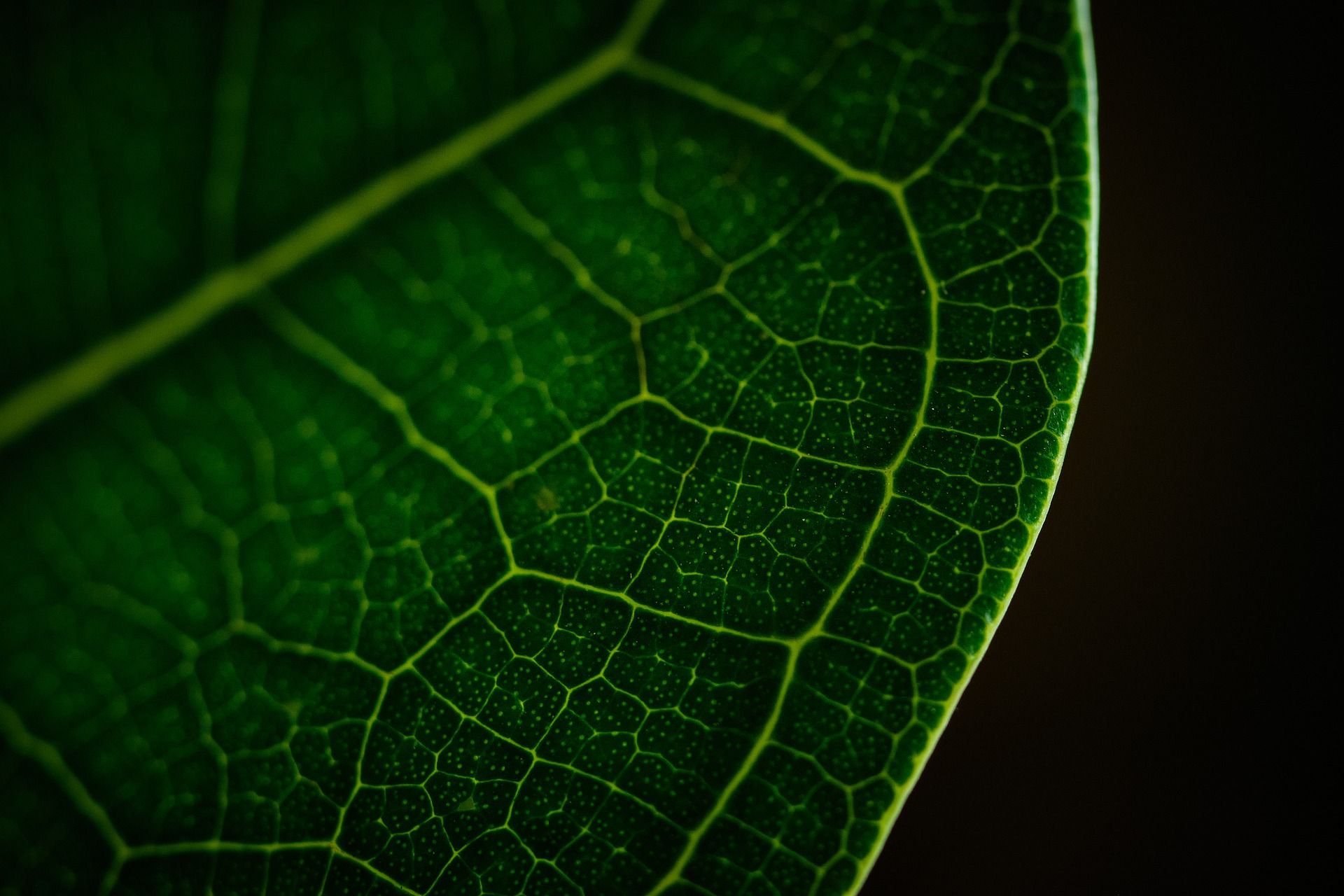 Socialmedia Serie – Wusstest du, dass...? — Bild 1