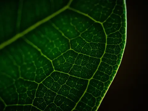 Socialmedia Serie – Wusstest du, dass...? — Bild 1