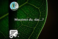 Socialmedia Serie – Wusstest du, dass...?