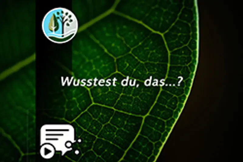 Socialmedia Serie – Wusstest du, dass...?
