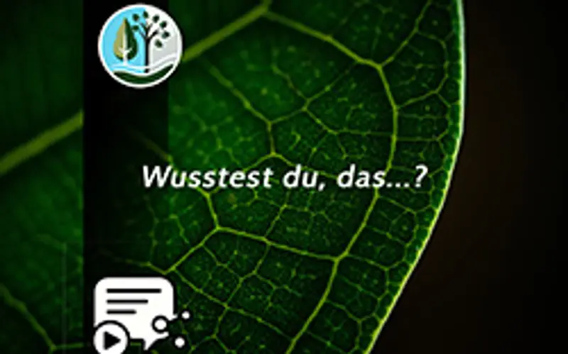 Socialmedia Serie – Wusstest du, dass...?