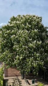 Grünes! Impressionen — Bild 13