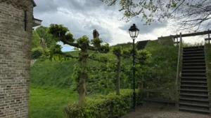 Grünes! Impressionen — Bild 11