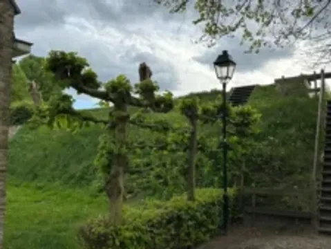 Grünes! Impressionen — Bild 11