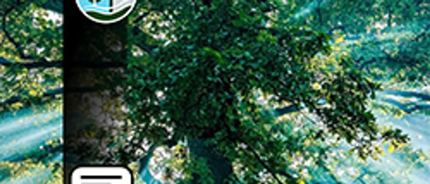 TREE TALES – Die Eiche