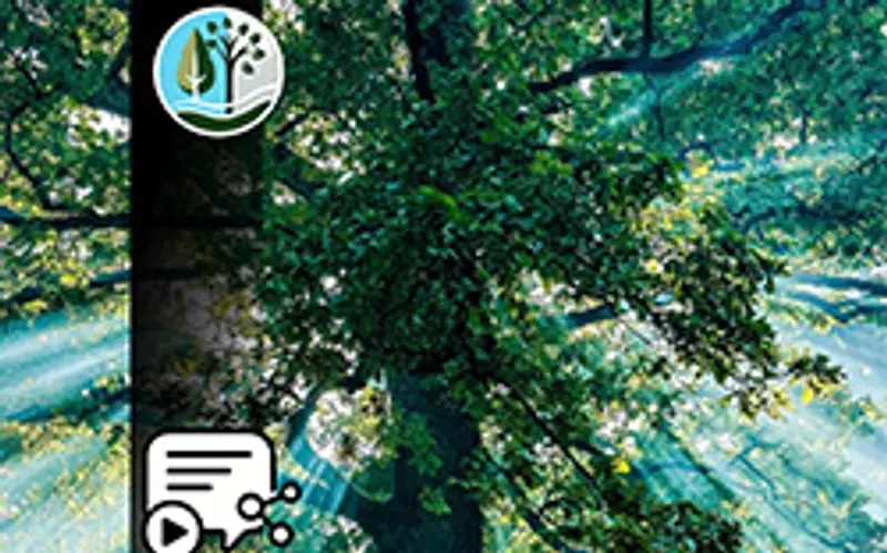 TREE TALES – Die Eiche