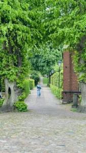 Grünes! Impressionen — Bild 10