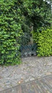 Grünes! Impressionen — Bild 3