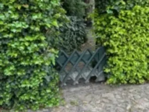 Grünes! Impressionen — Bild 3