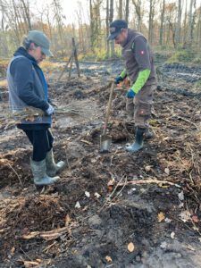 IMPACT CHECK – Baum-Pflanzaktion auf Rügen — Bild 4