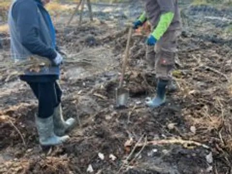 IMPACT CHECK – Baum-Pflanzaktion auf Rügen — Bild 4