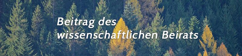 Die Rolle von Wäldern in den internationalen Klimaverhandlungen — Bild 1