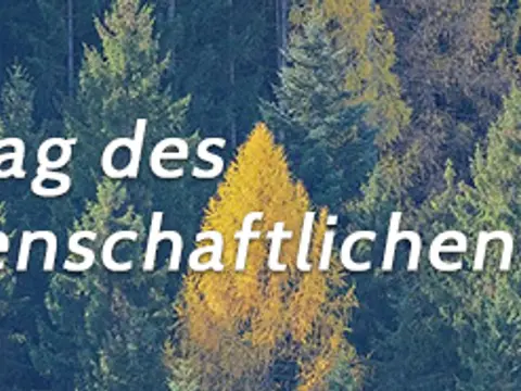 Die Rolle von Wäldern in den internationalen Klimaverhandlungen — Bild 1