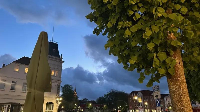 Grünes! Impressionen