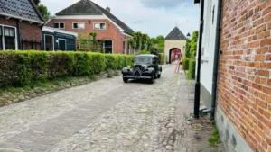 Grünes! Impressionen — Bild 9