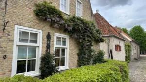 Grünes! Impressionen — Bild 2