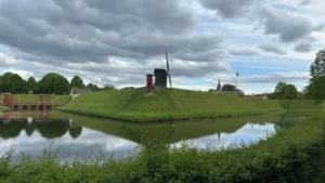 Grünes! Impressionen — Bild 6