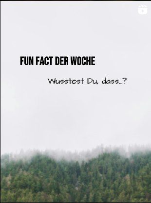 Wusstest du, dass Bäume so aufeinander achten?