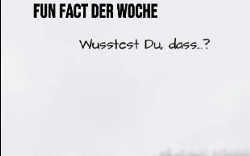 Wusstest du, dass Bäume so aufeinander achten?