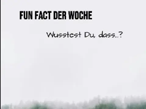 Funfact: Der Wald fördert Deine Gesundheit — Bild 1
