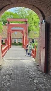 Grünes! Impressionen — Bild 14