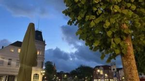 Grünes! Impressionen — Bild 15