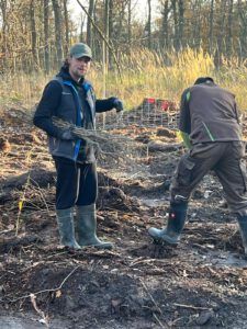 IMPACT CHECK – Baum-Pflanzaktion auf Rügen — Bild 2