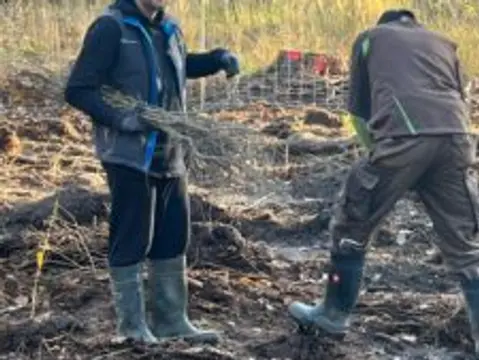 IMPACT CHECK – Baum-Pflanzaktion auf Rügen — Bild 2