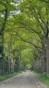 Grünes! Impressionen — Bild 12