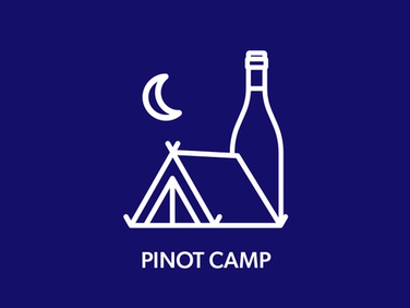 Pinot Camp