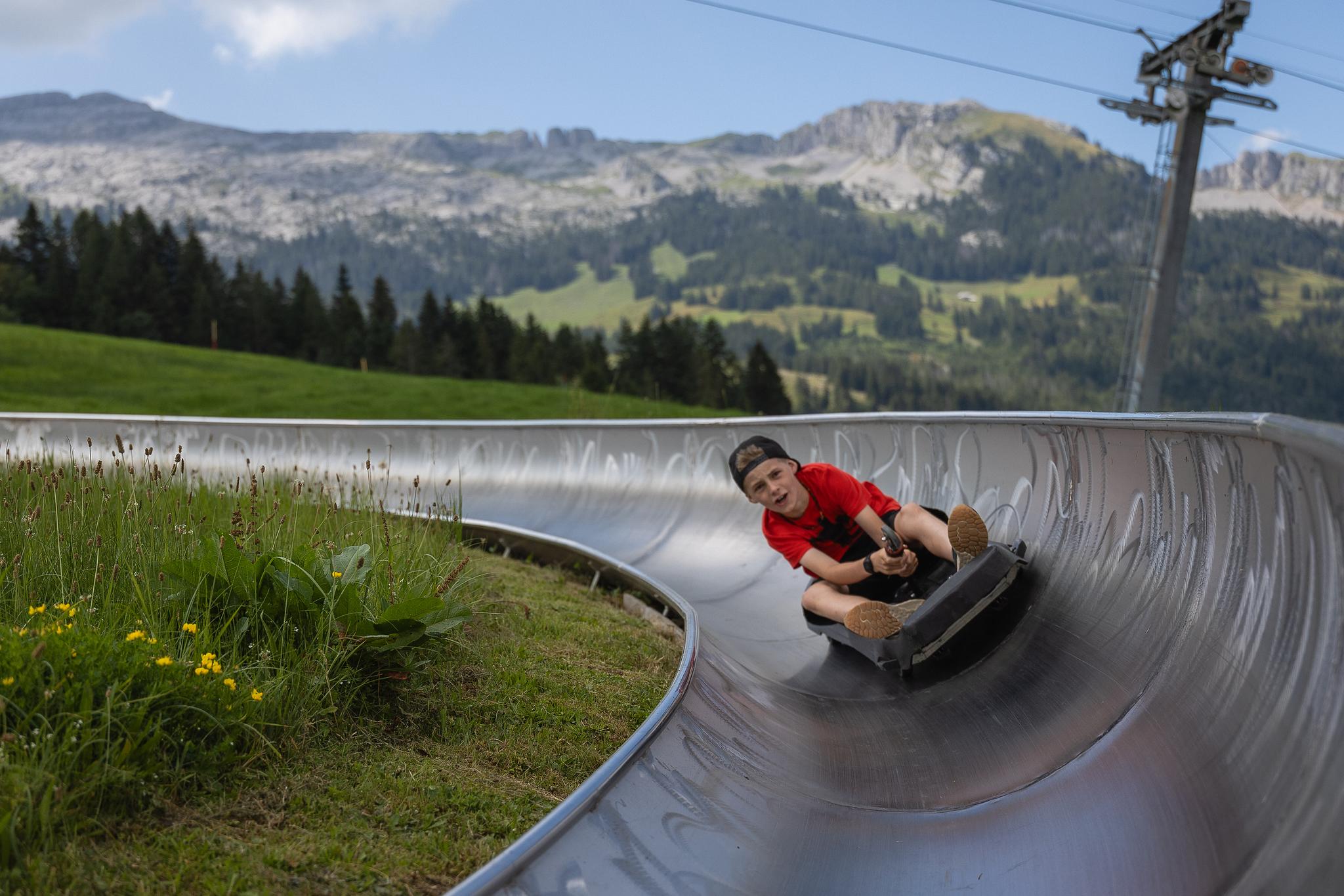 Spass & Action sind auf der Sommerrodelbahn garantiert