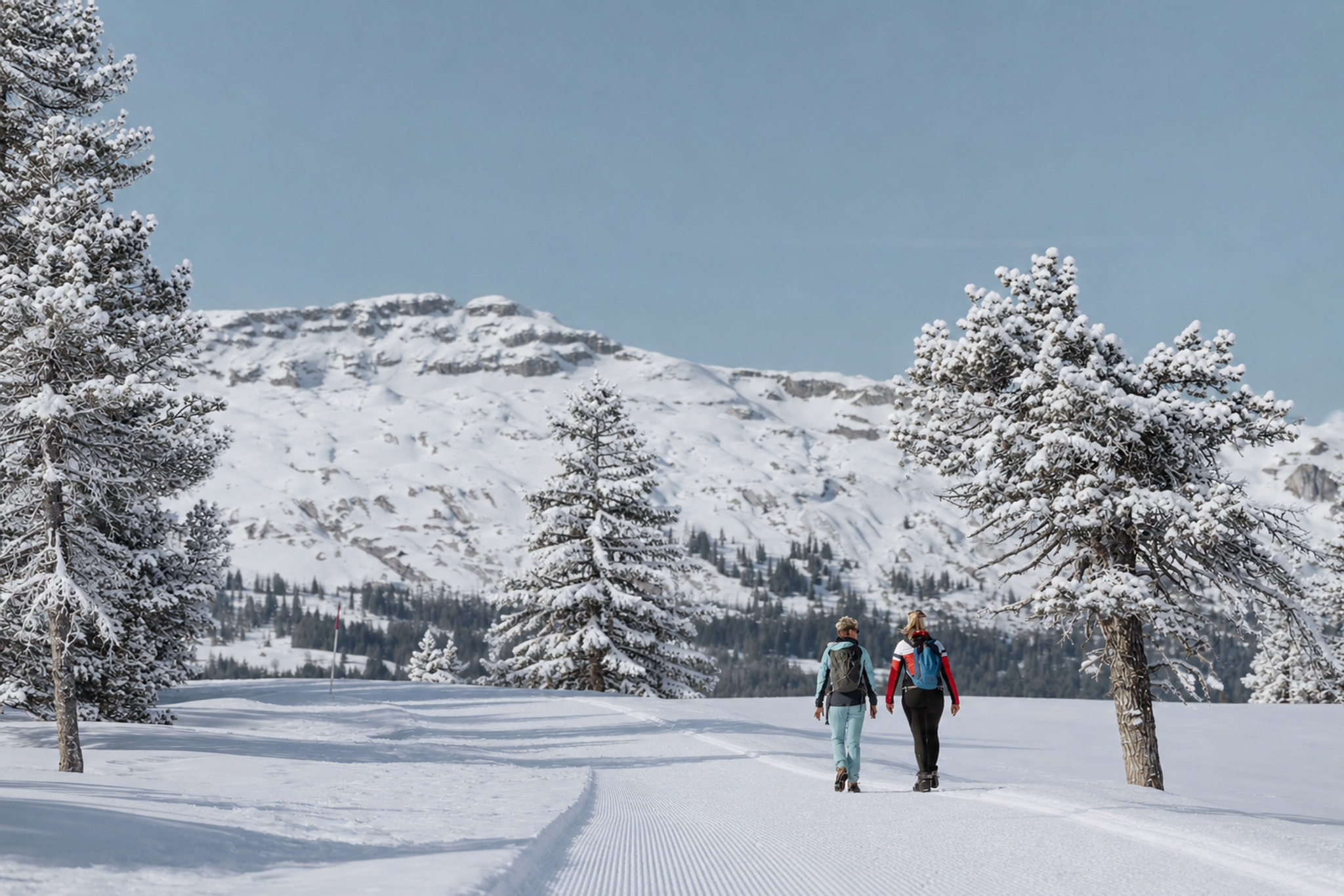 Wandern durchs Wintermärchen Sörenberg