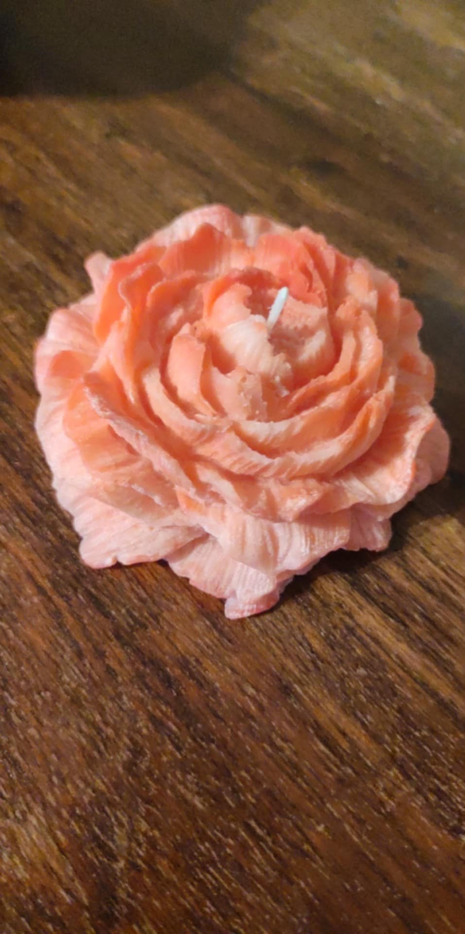 Image of Κήπος από κερί 