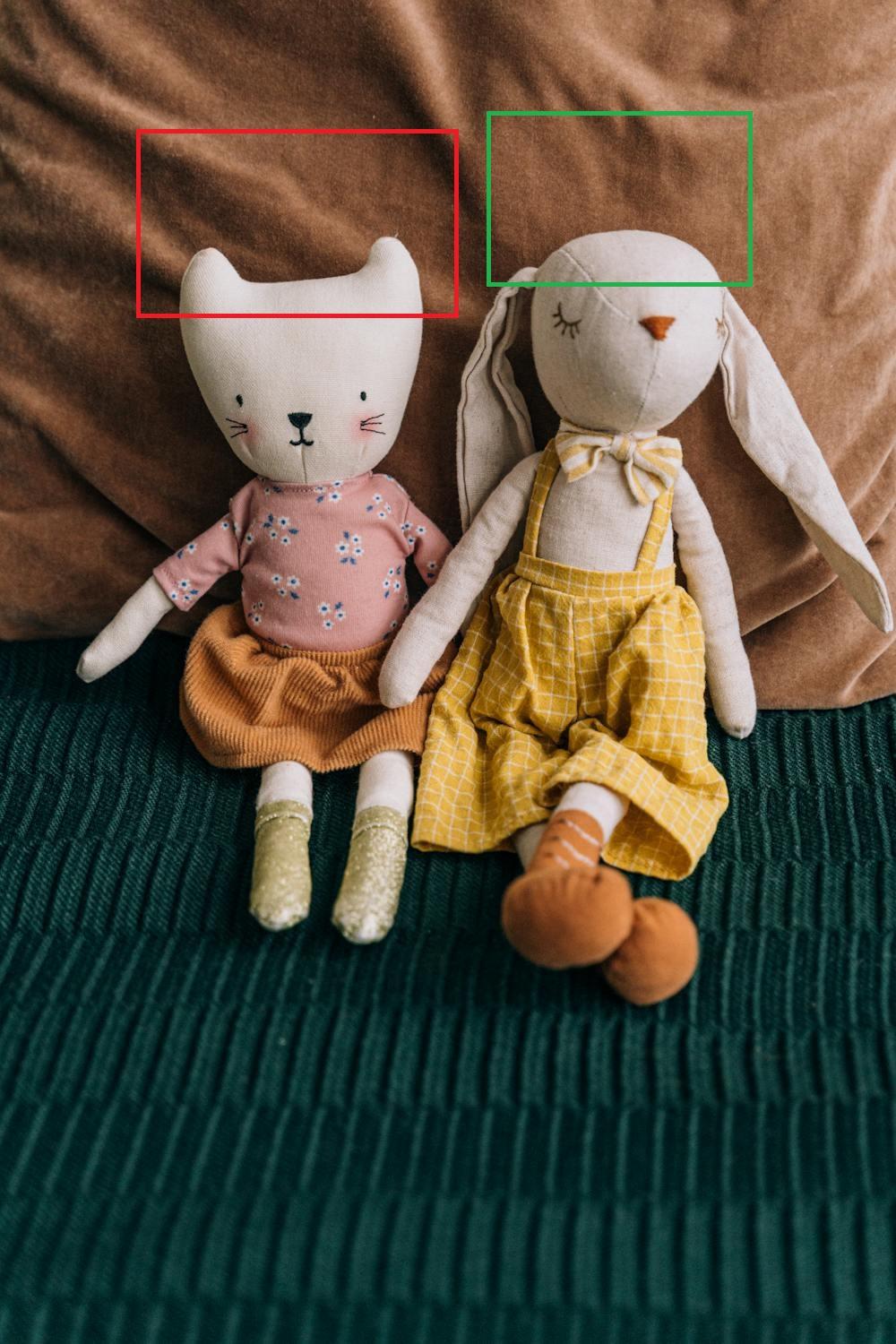 Input image: