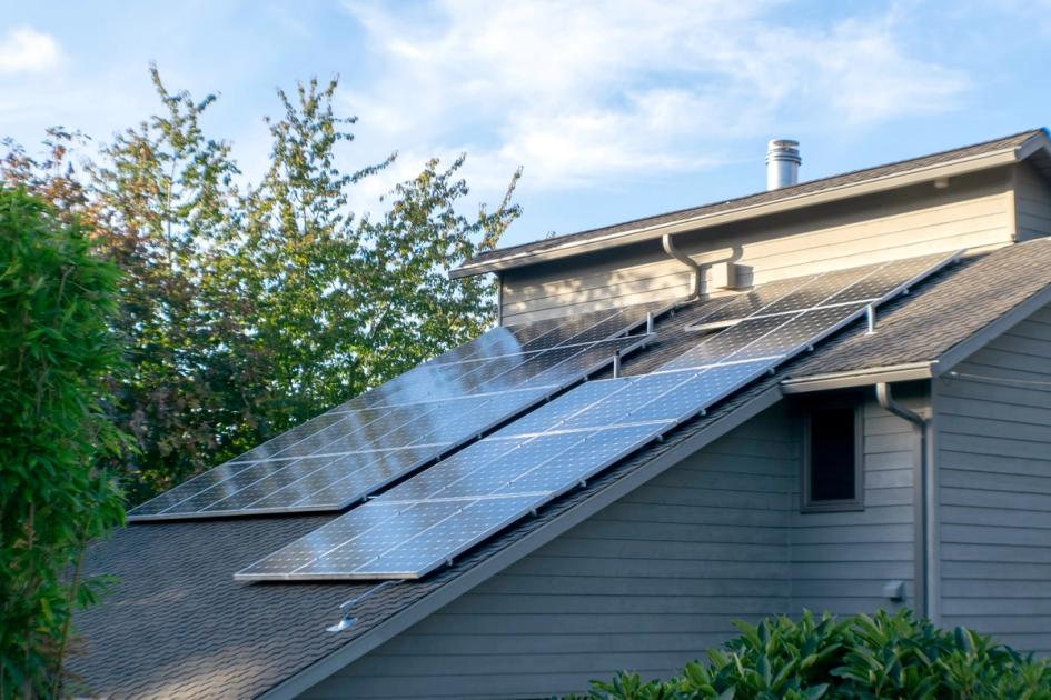 Top 5 Reasons Why You Should Go Solar in 2024